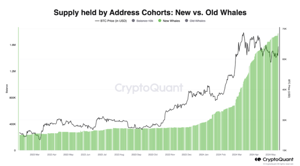 Suministro ‌de nuevas ballenas y precio de bitcoin