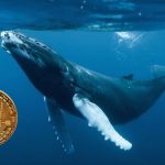 «El apetito de las ballenas de bitcoin regresó con fuerza»