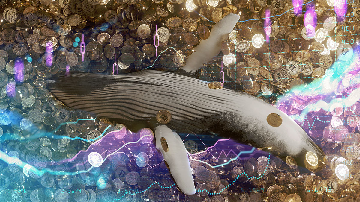 Ballenas acumulan 1.000 millones de dólares en bitcoin por día 