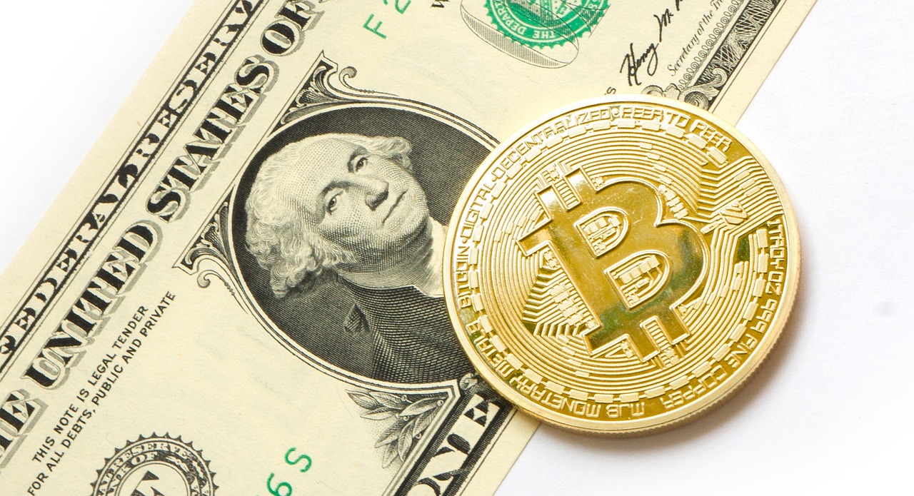 ¿Qué papel juega bitcoin en el proceso de desdolarización?