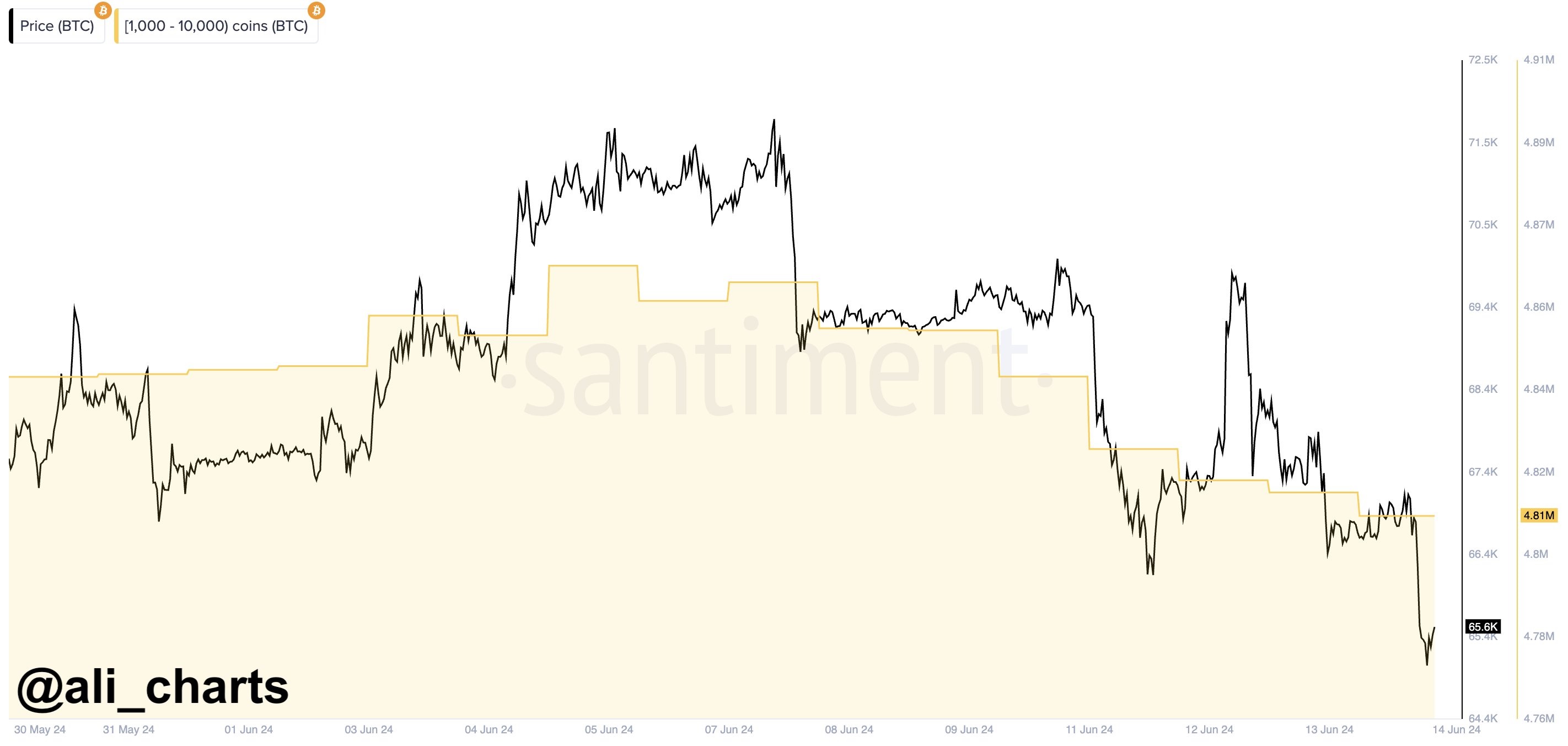 Gráfico de tenencias de ballenas de ‍Bitcoin