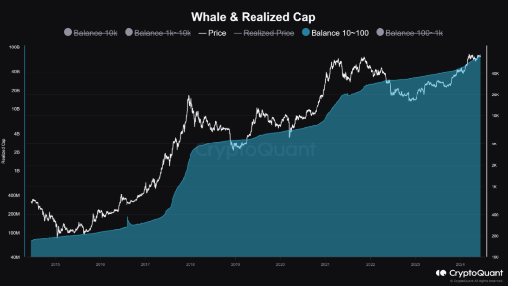 Comportamiento de las ballenas de bitcoin. Fuente: CryptoQuant.