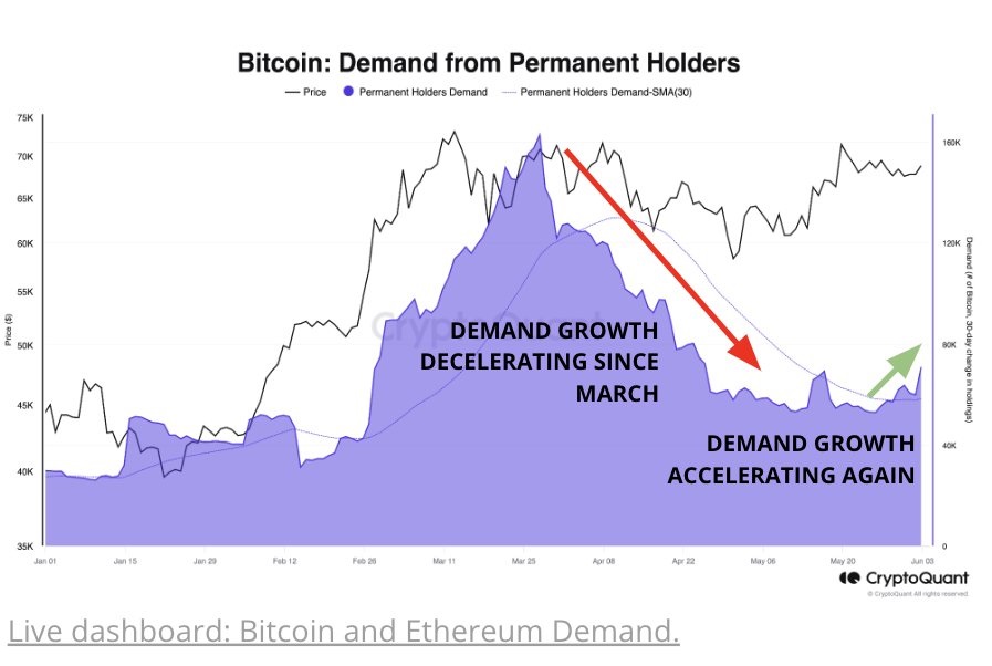 Suministro de los inversionistas de bitcoin permanentes. Fuente: CryptoQuant.