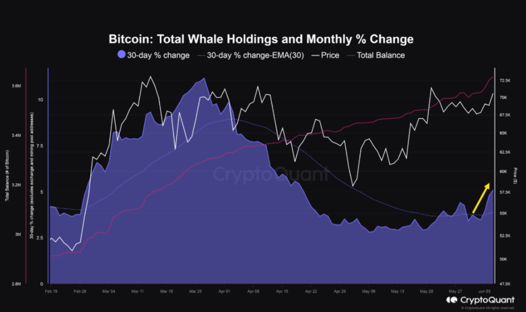 Suministro de bitcoin por parte de las ballenas. Fuente: CryptoQuant.