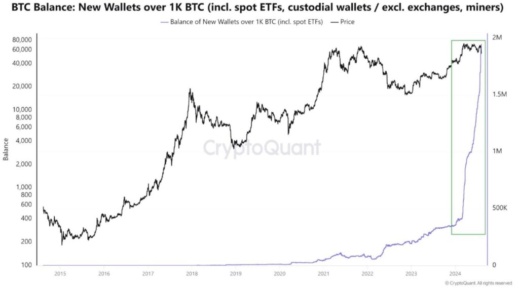 Balance⁣ de ballenas y ⁣ETF de bitcoin.