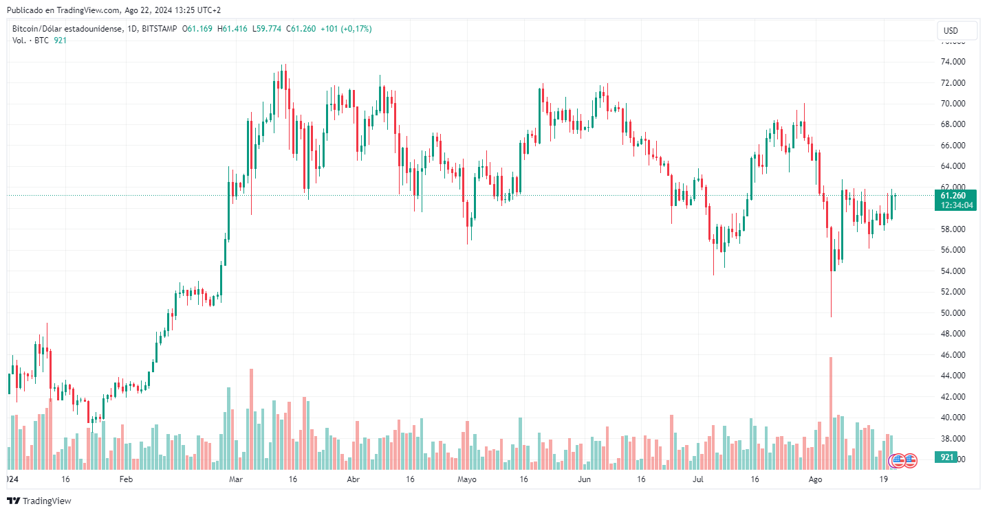 Cotización de BTC en lo que va de este 2024. Fuente: TradingView